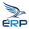 Falcon ERP Desktop